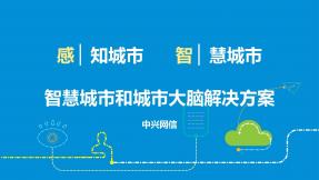 智慧城市和城市大腦解決方案