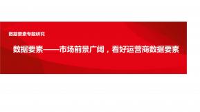 數據要素——市場前景廣闊，看好運營商數據要素