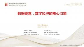 數(shù)據(jù)要素：數(shù)字經(jīng)濟(jì)的核心引擎