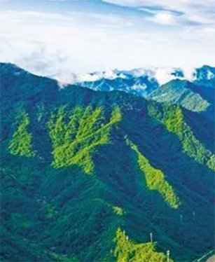 某上市環境服務公司